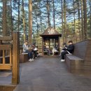 옥화자연휴양림 이미지