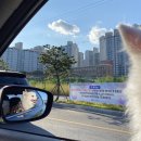 24시 위드힐 동물메티컬센터 | 남양주 24시 동물병원 후기] 사과 삼킨 강아지 내시경 / 위드힐동물메디컬센터/별내동물병원/24시동물...