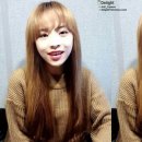 가야계분
