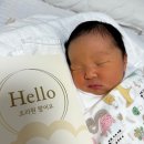 찬스컴퍼니 | 육각형 쏘가리낚시대 JS컴퍼니 쏘치앤클래식 S622L 실사용 후기