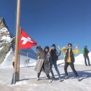 힐링천사약국 이미지