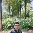 푸른 당구장 이미지