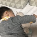 아기장난감 니키 위니베어 애착인형으로~