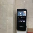 퍼플래쉬