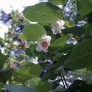 (주)풀과나무 이미지