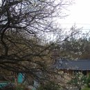 자계고택 이미지