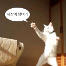 [공지] [동탄 연기학원 배우로갑니다] '난 된다!' 라고 주문을 걸어보세요