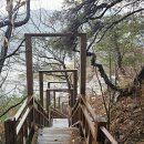 옥순봉길 이미지