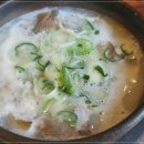 조박사 이미지