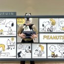 도그하우스 애견샵 이미지