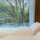 힐링 포레스트 이미지