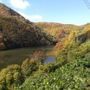 천태산농원 이미지