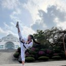 경희대태권도 이미지