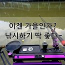 비봉 낚시터 네이버블로그