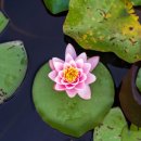 (주)두드림 | [동국대 면접 학원] Do Dream 두드림, 불교추천인재 불추 면접 질문 기출과 합격 후기