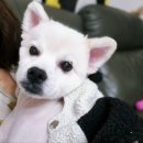 현대종합동물병원 이미지