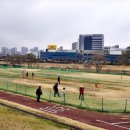 파크골프공원 파크골프장 이미지