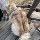 서촌등산로 | 봄 서울3월데이트코스로추천하는 인왕산 등산, 서촌데이트맛집