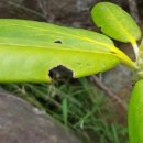 청살림영농조합법인 이미지