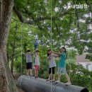 숲들내캠핑장 이미지