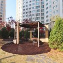 고운동_두루중학교 이미지