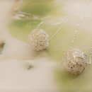 학장중학교 이미지