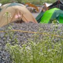 온새미캠핑장 이미지