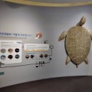 세계조개박물관 이미지