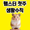 (주)케이지환경 이미지