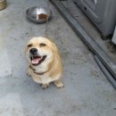 일심세차장 이미지