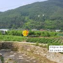 계곡예쁜집
