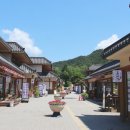 오대산달빛미소 이미지