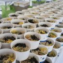 강원푸드트럭협동조합 이미지