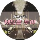 (주)네스트투어