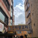 GS25 양천등촌점 | 복날 몸보신 맛집 찾는다면? 등촌역 남강 마황오리 후기