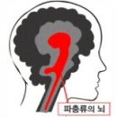 인간의 뇌는 3층이다 이미지