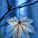 Moon River / Haydn, Symphony No. 94 in G Major (Surprise) 이미지