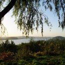 노을공원가로수길 이미지