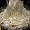 조만진 | Mar 7-16.