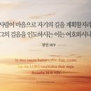 오늘의 '영어성경 사진'(478강) “우리의 발걸음을 확립하시는 여호와”(잠언 16장 9절) 이미지
