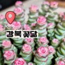 닮아가다 이미지