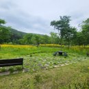 야생화단지 이미지