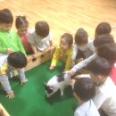 늘품자연유치원 이미지