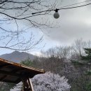 운장산해마루캠핑 이미지