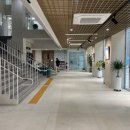 강남-131 이미지