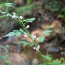 수리산역 이미지