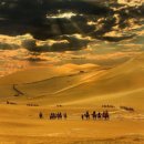 허준 선생의 건강 비법과 히포트리테스 건강 명언 이미지