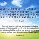 오홀리 이미지