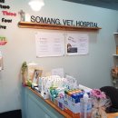 소망동물병원 이미지