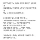 헬스PT 식단 관리 받으면서 6키로 찐 처자 이미지